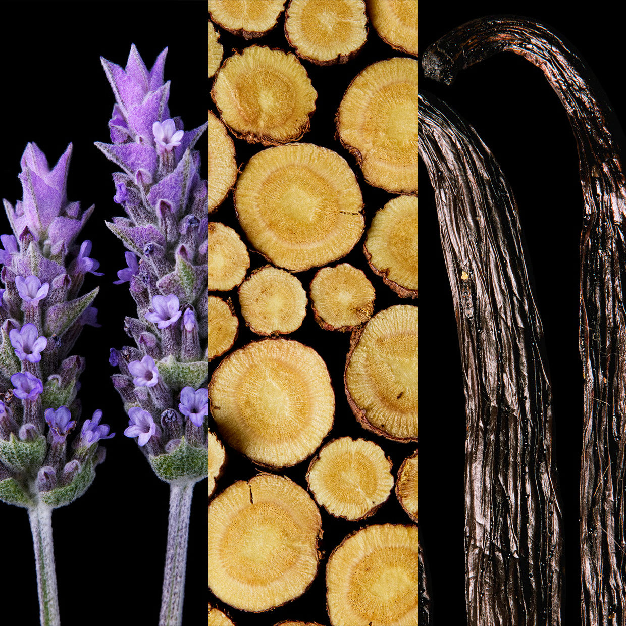 212 Vip Black Elixir