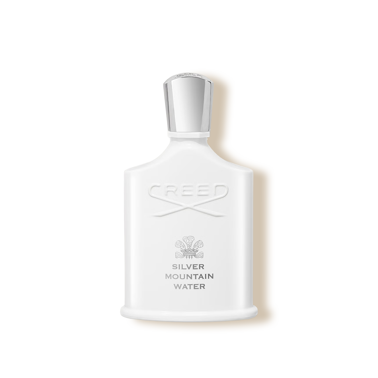 Silver Mountain Water