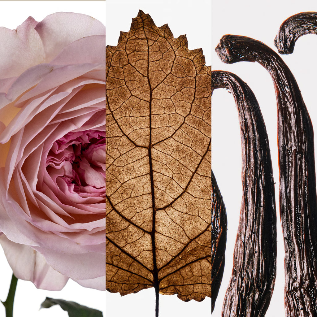 Good Girl Blush Elixir