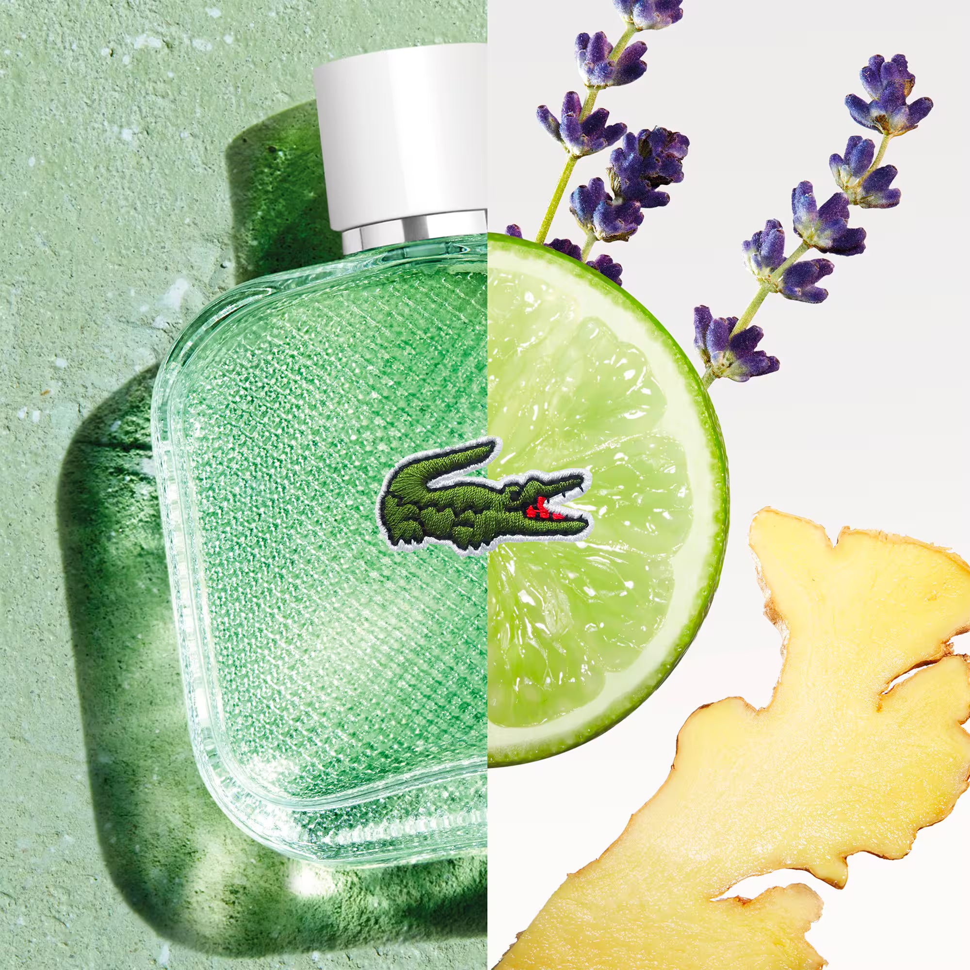 L.12.12 Fraiche Blanc