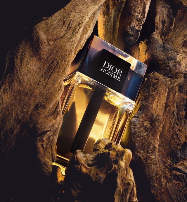 Dior Homme